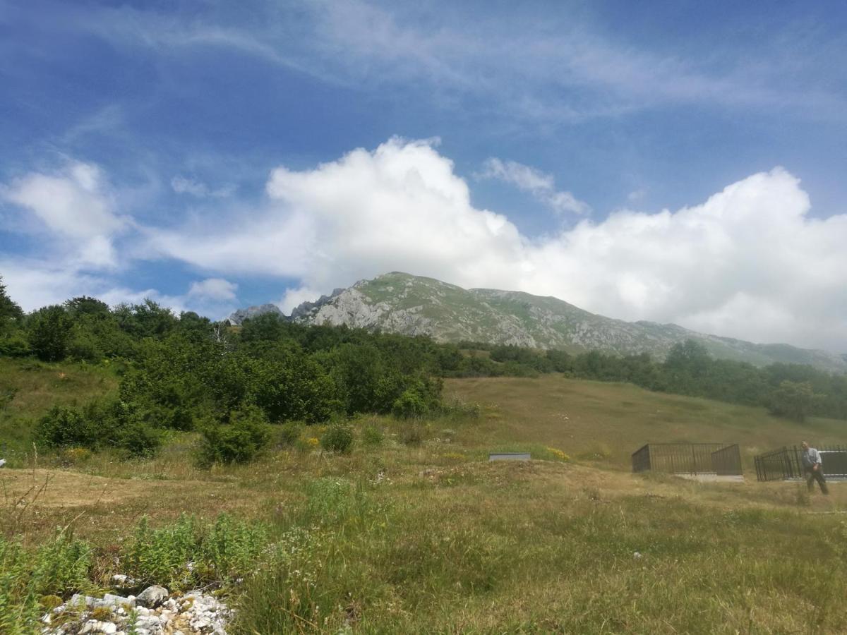 Camp Volujak Екстериор снимка